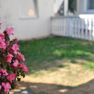 Deciji Svet - Duga-021