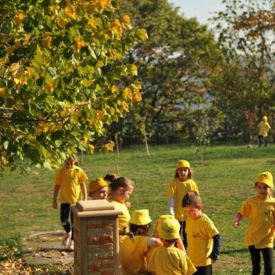 Deciji Svet - Sunasce-001