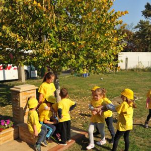 Deciji Svet - Sunasce-002