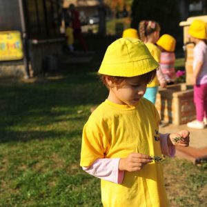 Deciji Svet - Sunasce-007