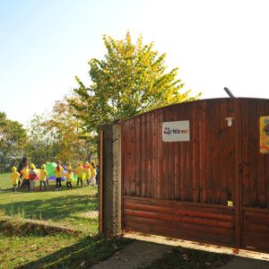 Deciji Svet - Sunasce-017