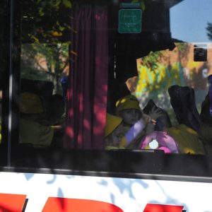 Deciji Svet - Sunasce-136